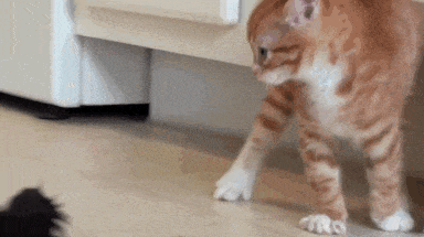 趣图笑话: 妹子冲我来, 我一点也不介意, 而且会很配合