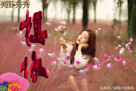 早安!2018新大哭的表情动态v表情图片,太美出炉蘑菇头表情包图片