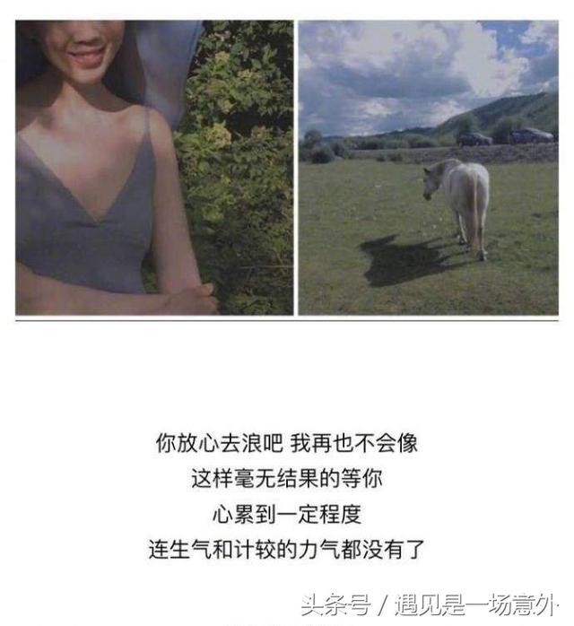 我不期待,也不奢望