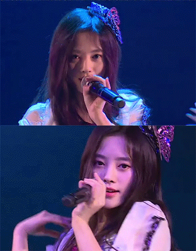 搞笑gif:喵星人看见汪星人被别家猫揍,立马冲上去干架