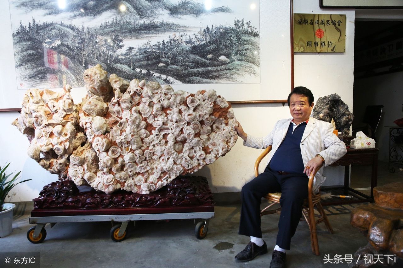 中国最霸气的奇石收藏家,2000万元收藏10万块奇石,举办奇石论坛