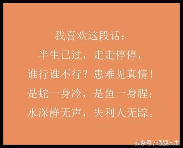 我喜欢这句:谁行谁不行?患难见真情!