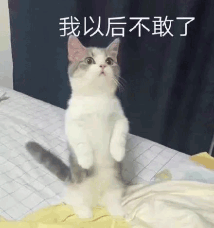 壁纸 动物 猫 猫咪 小猫 桌面 440_469 gif 动态图 动图