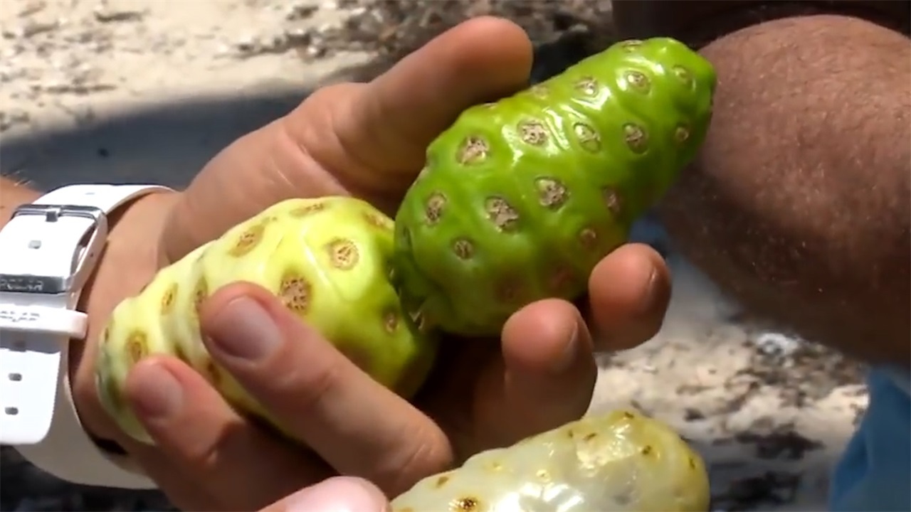 世界上最难吃的水果,味道让人难以接受,没有人敢吃完