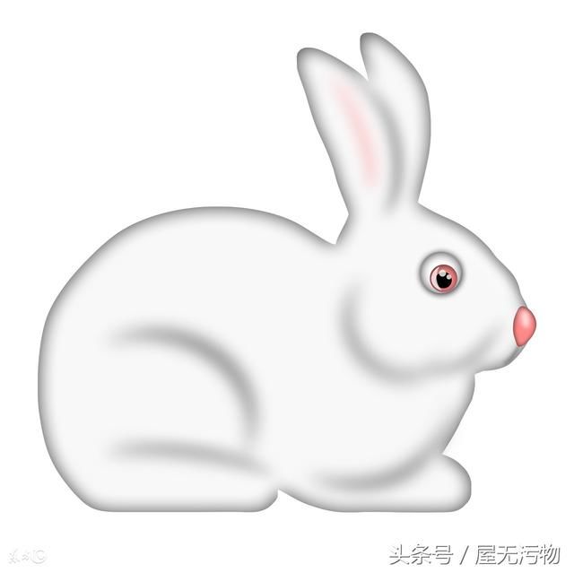 兔兔人的一生一世:尤其是1975年(42岁)的,超准的!