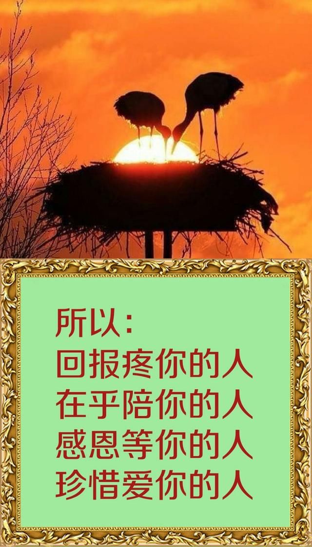 有一种爱,叫心疼(句句入心)