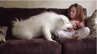 壁纸 动物 狗 狗狗 猫 猫咪 小猫 桌面 399_225 gif 动态图 动图
