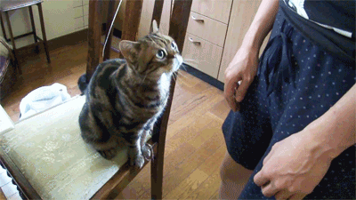 爆笑gif动图:两个可爱的小姐妹,请问你喜欢那个啊?