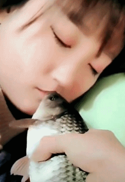 搞笑gif:上车喽,老司机带你吃鸡!