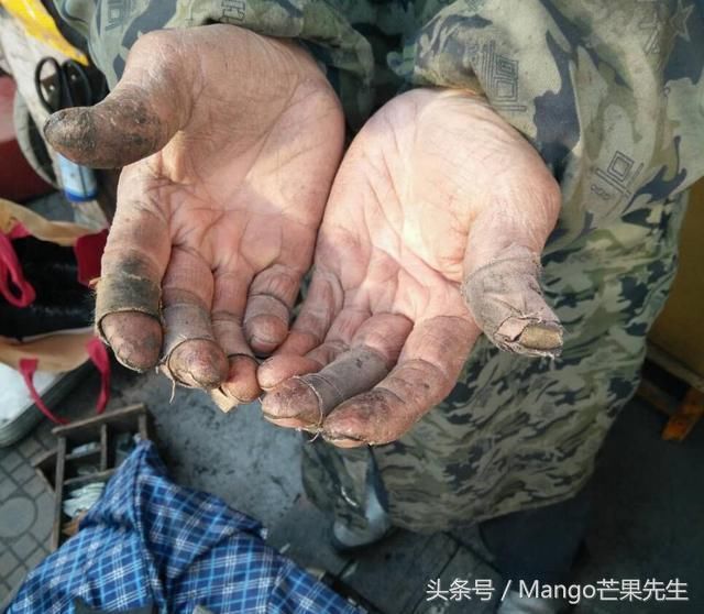 心酸!这是一只劳动人民的手,在中国还有很多这样的手