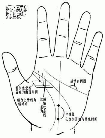 生命线详解(图)