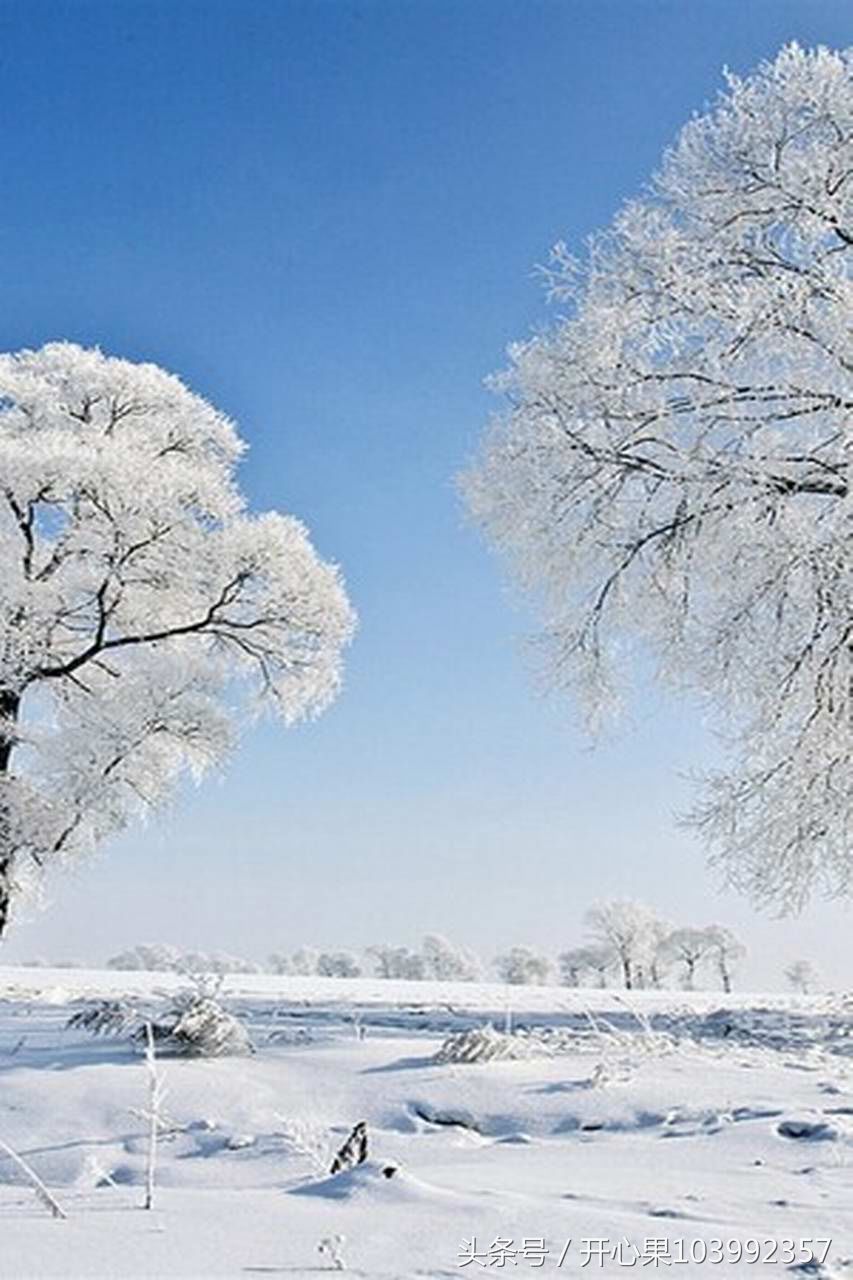 53张难得一见的雪景竖版图片,适合做手机壁纸!