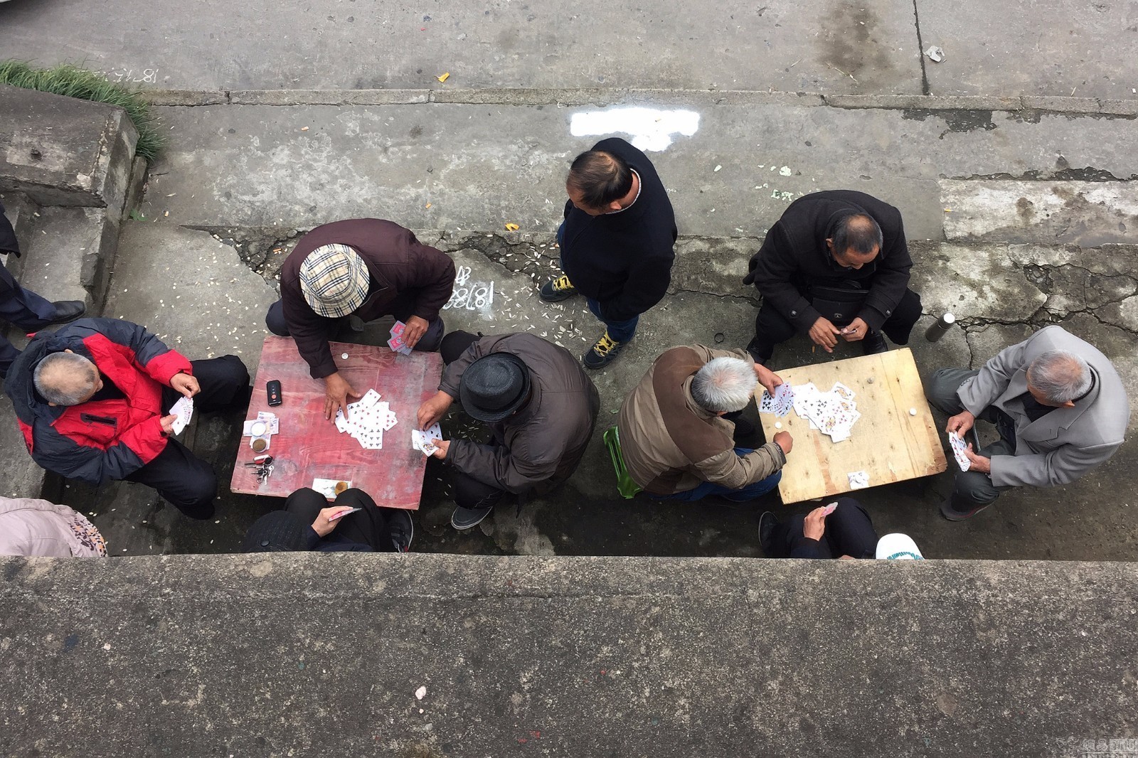 合肥立交桥底成"赌窝 每天近百人聚众赌博