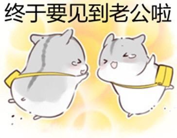 "调教老婆"仓鼠表情包上线!