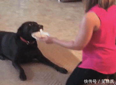 主人你好坏,人家过生日你点什么蜡烛,人家要的是肉.