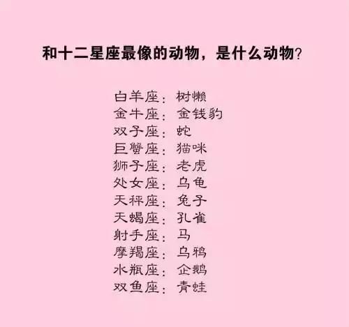 (我喜欢一个金牛座男 