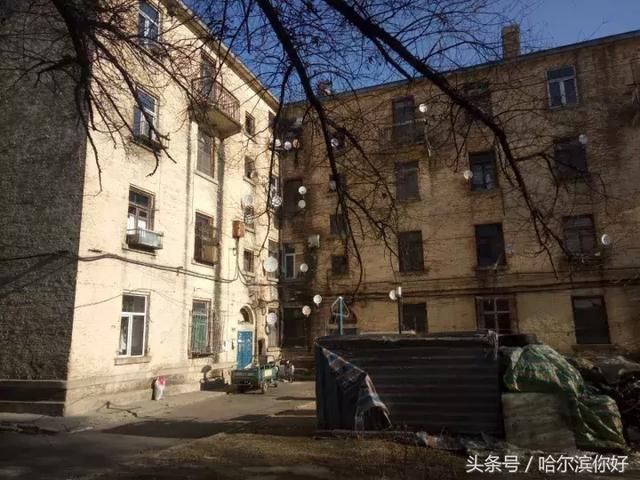 哈尔滨记忆中的老平房,咋就这美呢?