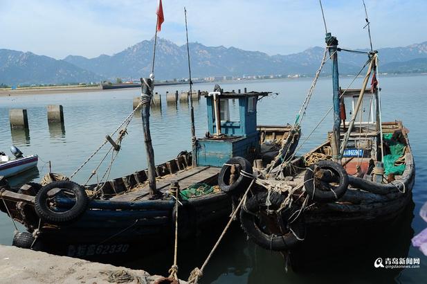 青岛开海倒计时,港东码头百船蓄势待发