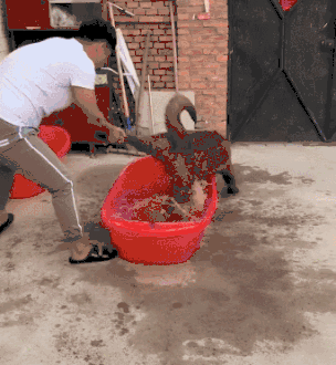搞笑图片:男生身高不足160cm是怎样一种体验