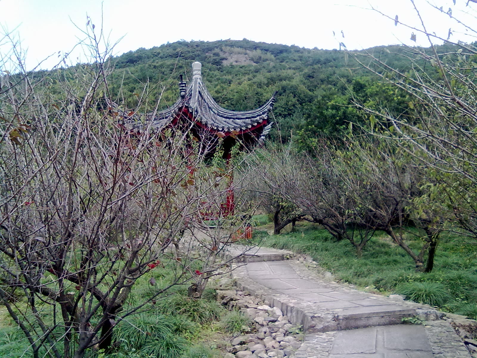 汝州九峰山国家森林公园,风景秀丽,有山有水,春季旅游