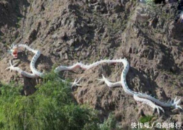 06年真龙吃人的照片, 传说中的真龙其实是洞螈-北京