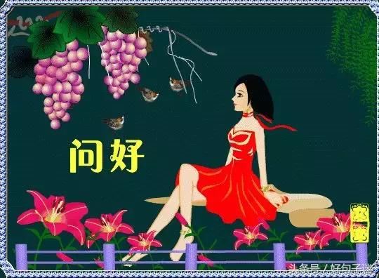 微信早上好的图片表情v图片语图片圈早晨动态a图片鲜花图带文字朋友图片
