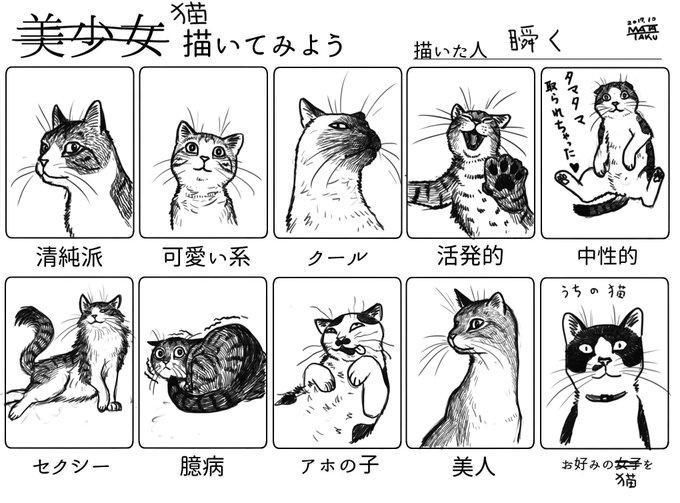 像是幻想猫咪的友爱互相注视之类的种种行为都可