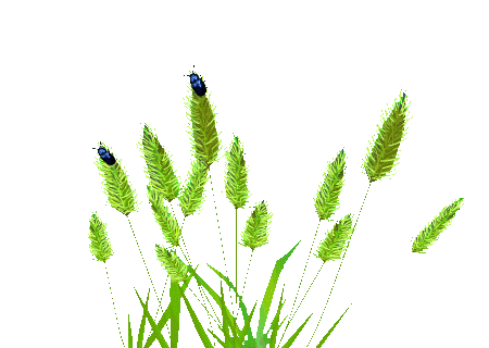 背景 壁纸 绿色 绿叶 树叶 植物 桌面 450_320 gif 动态图 动图