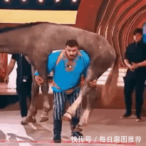 俄罗斯一档真人秀,驴哥一脸我到底做错了啥的表情