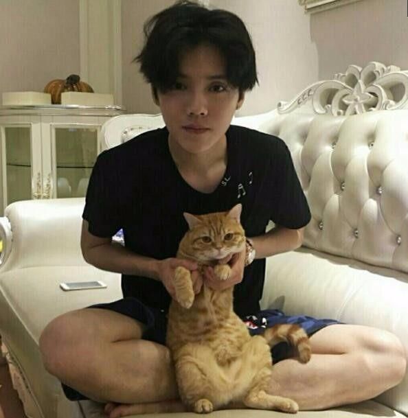 盘点那些的明星的萌宠,看到黄渤的宠物,就忍不住想笑!