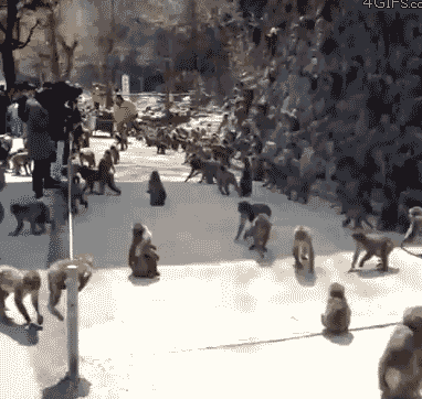 729爆笑精选合集,笑到肚抽筋