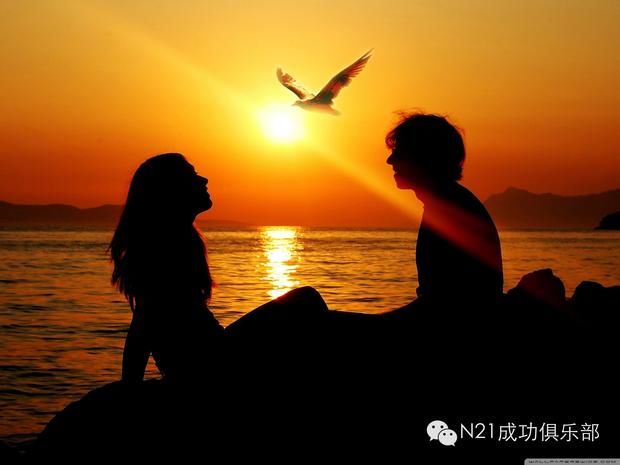 我在红尘中遇见你