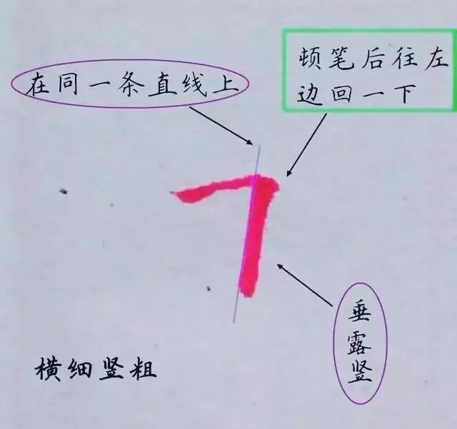 漂亮硬笔字书写规律,掌握后写字如鱼得水!