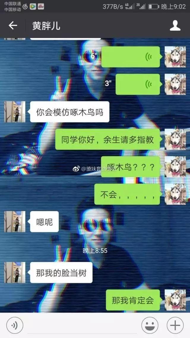 一直没有流出的表白套路情话,撩妹情话手册,赶快收藏