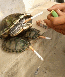 爆笑gif:男人舍不得,又必须舍得的难过!