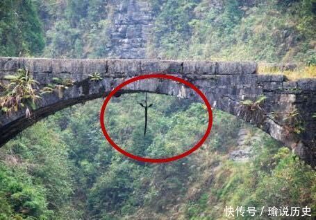 梦境解析,面对巨蟒的逃脱与水中奇遇 梦境解析,面对巨蟒的逃脱与水中奇遇