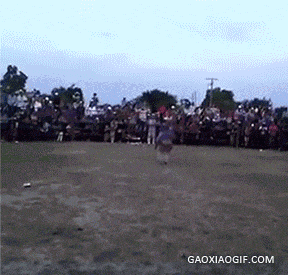 不行了,让我先笑会,笑死人不偿命!