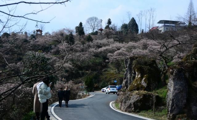 门票:无 地址:大邑雾山乡大坪村 自驾路线:成都-成温邛高速-大邑南