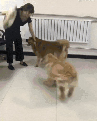 爆笑gif:这应该是我见过最实用的魔术了