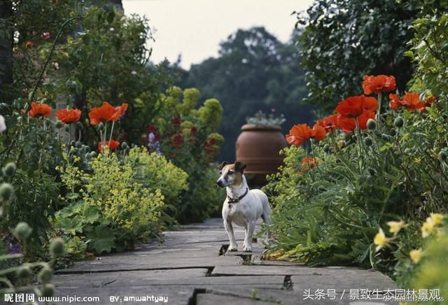 园林景观设计-风景园林空间层次规划设计篇