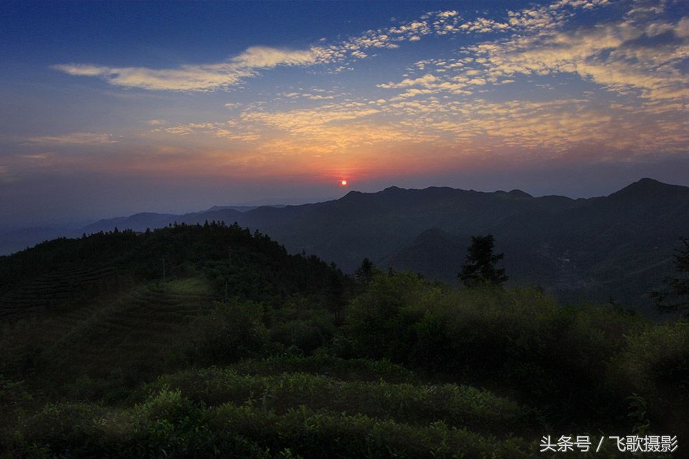 一位美女在江西丰城市罗山采风,拍到的东西令她大惊,她决定