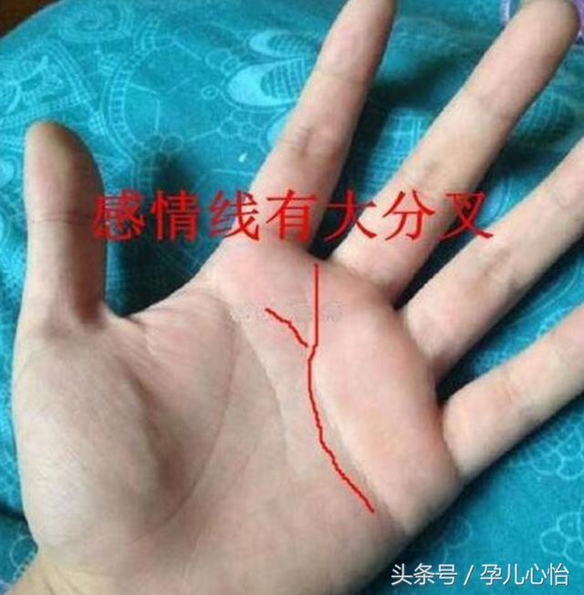 感情线若是一条直线,没有分叉或者横切线表示此人感情生活将会一帆