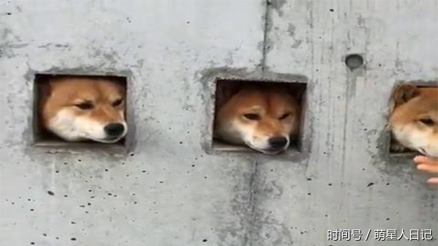 朋友借5000块钱,说好一个星期还,现在迟迟不还