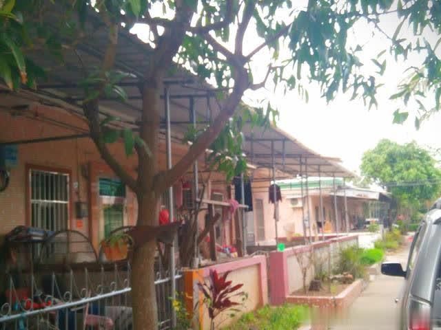 东南亚风情园位于我国著名侨乡台山海宴镇华侨农场的五丰村.