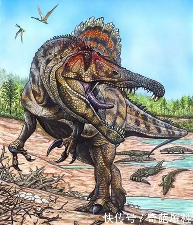十大肉食恐龙排行榜 第一名比肩"哥拉斯"