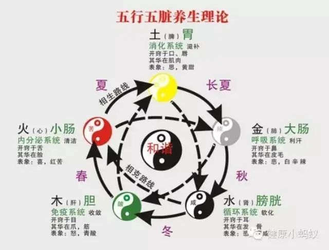 五脏即心,肝,脾,肺,肾.