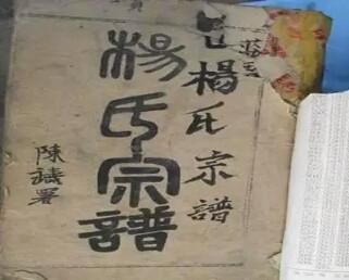 四川一老汉自称杨家将后人,杨家枪耍的炉火纯青,无奈后继无人