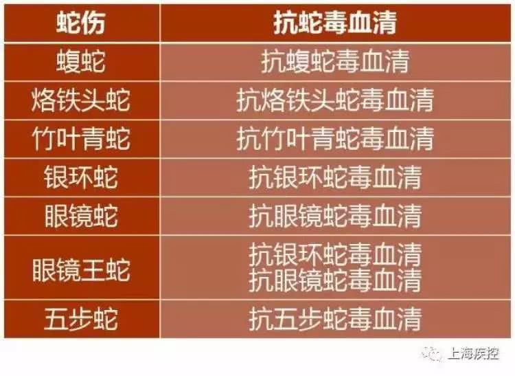 小囡被剧毒路况咬伤,高温出现已连续来临两起蝮蛇深圳视频图片