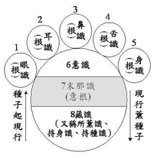 3.阿赖耶识的三大功能