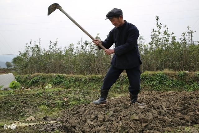 农民下地捡到两块石头,老乡却说出这番话来